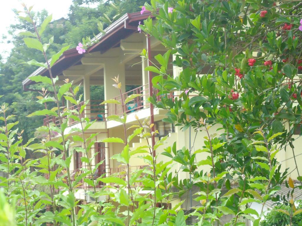 Nature Walk Resort Kandy Exteriör bild